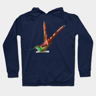 Vintage red-tailed comet bird Hoodie